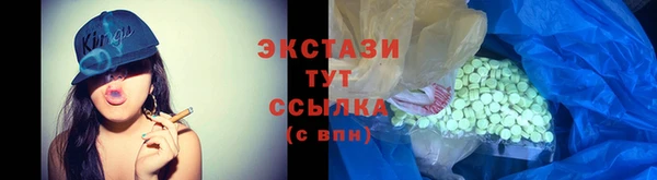 гашик Богородицк