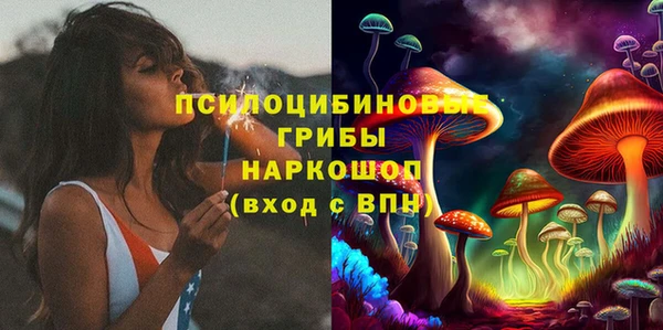 гашик Богородицк