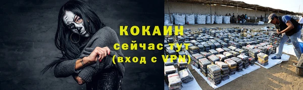 гашик Богородицк