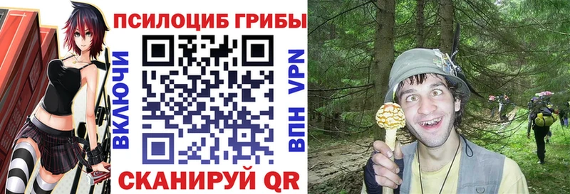 Купить закладки  Полтавская  Псилоцибиновые грибы ЛСД 